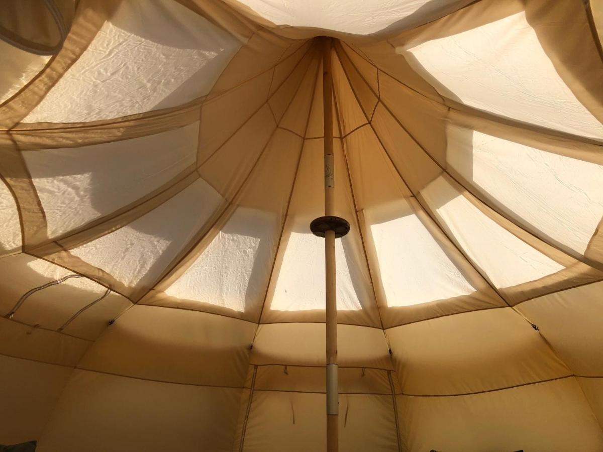 Stargazer Tent Met Sterrenuitzicht Callantsoog Luaran gambar